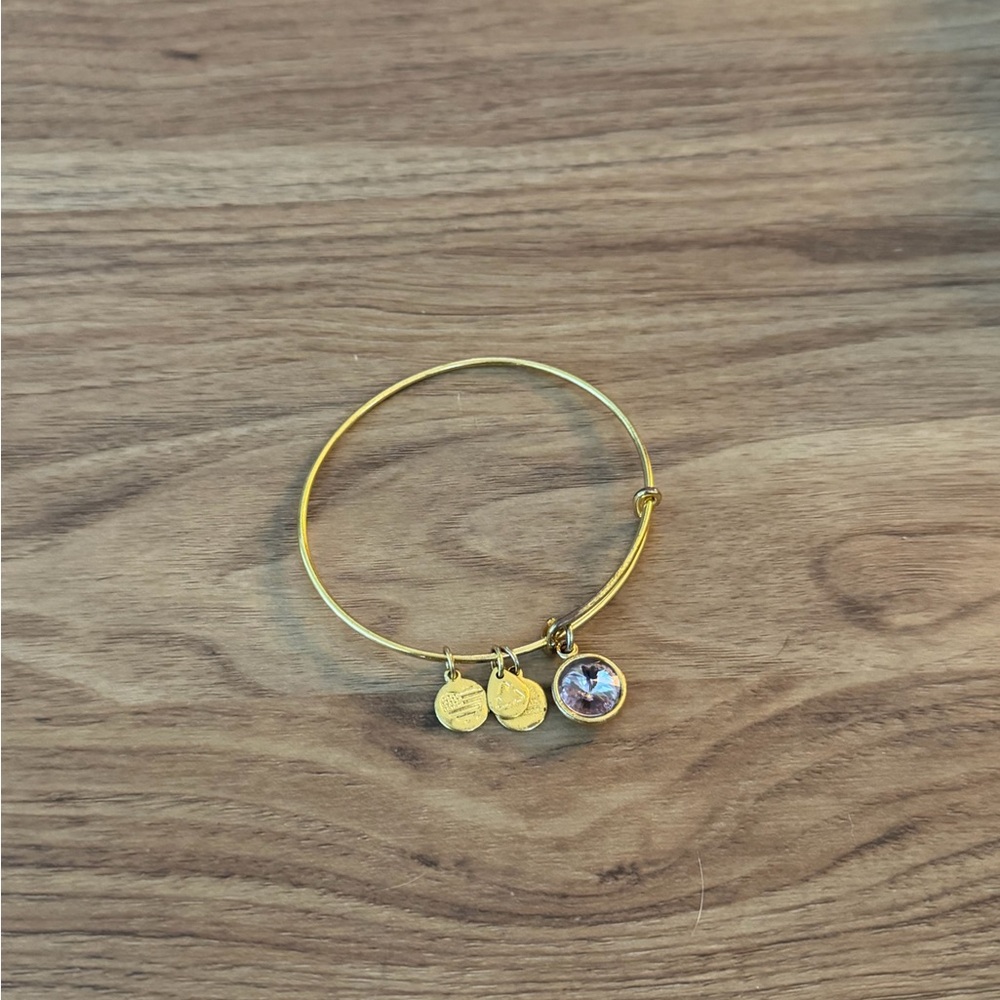 Rare Vintage Alex and Ani Y2K Collectible Bangle Charm Bracelet Lot $165+ Value - Picture 2 of 6